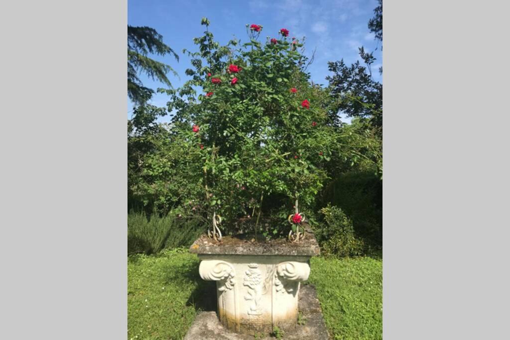 Casa La Torre Un Castello Alle Porte Di Firenze Florença Exterior foto